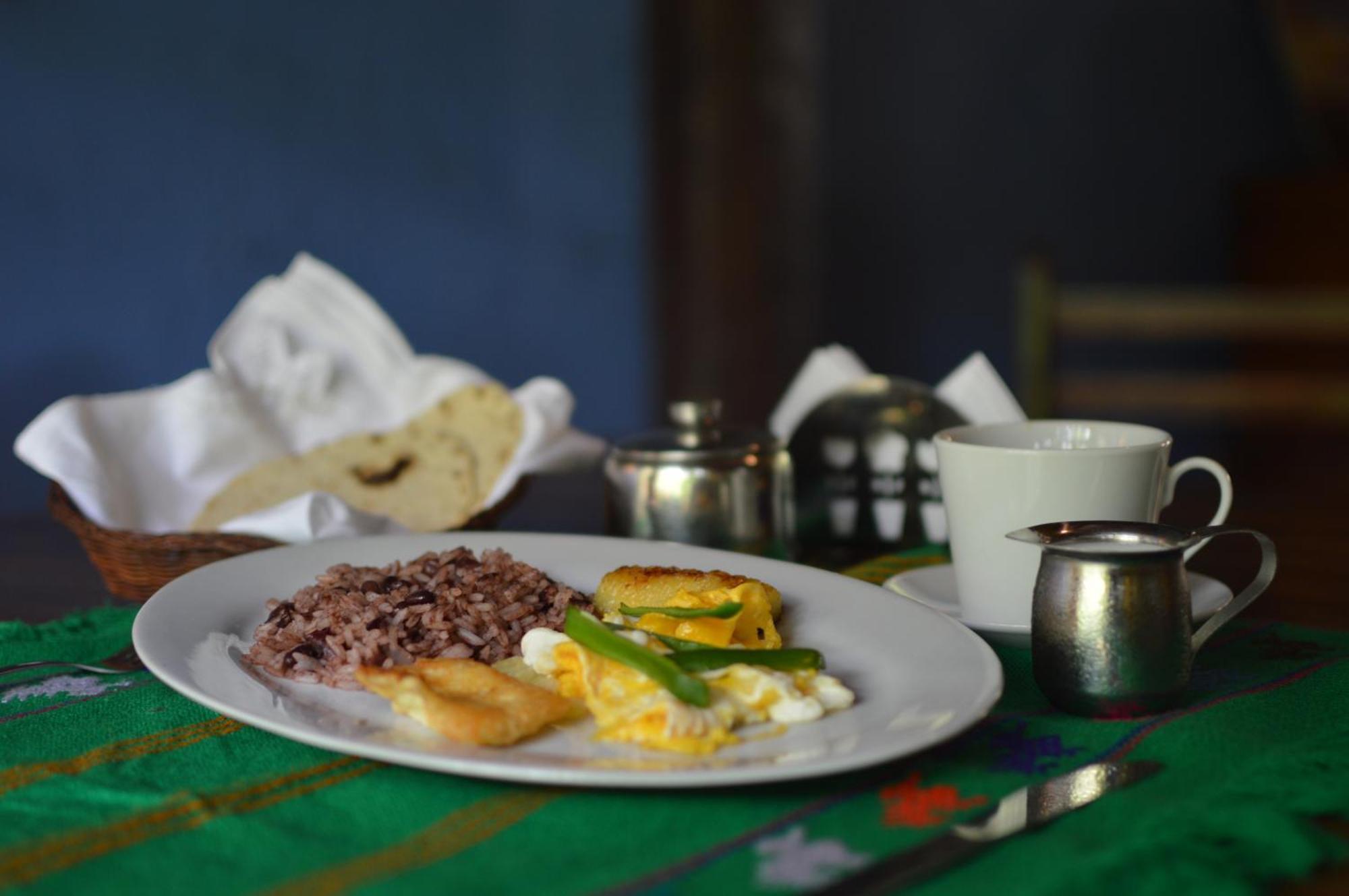 Hostal Fuente Castalia, B Y B Leon Ngoại thất bức ảnh
